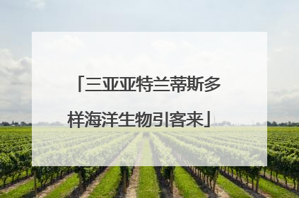 三亚亚特兰蒂斯多样海洋生物引客来