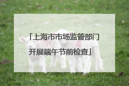 上海市市场监管部门开展端午节前检查