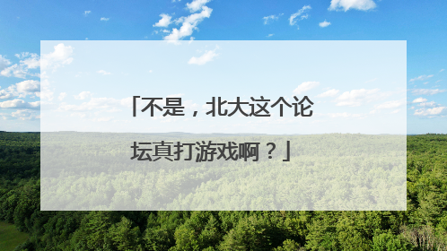 不是，北大这个论坛真打游戏啊？