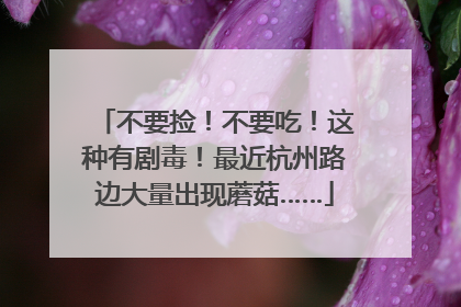 不要捡！不要吃！这种有剧毒！最近杭州路边大量出现蘑菇……