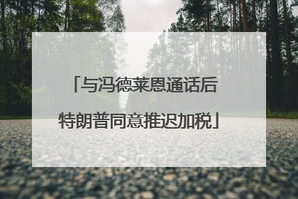与冯德莱恩通话后 特朗普同意推迟加税
