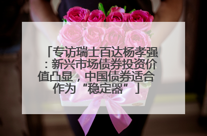 专访瑞士百达杨孝强：新兴市场债券投资价值凸显，中国债券适合作为“稳定器”