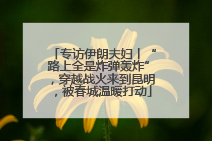专访伊朗夫妇丨“路上全是炸弹轰炸”，穿越战火来到昆明，被春城温暖打动