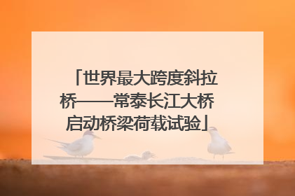 世界最大跨度斜拉桥——常泰长江大桥启动桥梁荷载试验