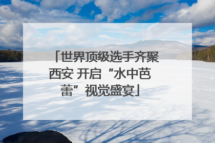 世界顶级选手齐聚西安 开启“水中芭蕾”视觉盛宴