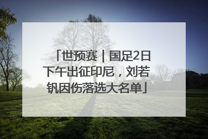 世预赛｜国足2日下午出征印尼，刘若钒因伤落选大名单