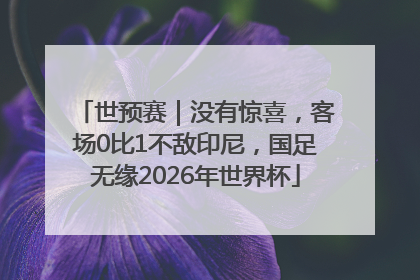 世预赛｜没有惊喜，客场0比1不敌印尼，国足无缘2026年世界杯