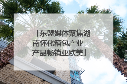 东盟媒体聚焦湖南怀化箱包产业 产品畅销亚欧美