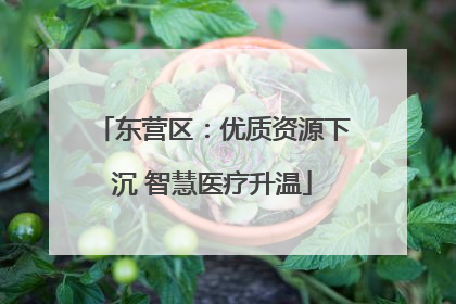 东营区：优质资源下沉 智慧医疗升温
