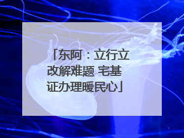 东阿：立行立改解难题 宅基证办理暖民心