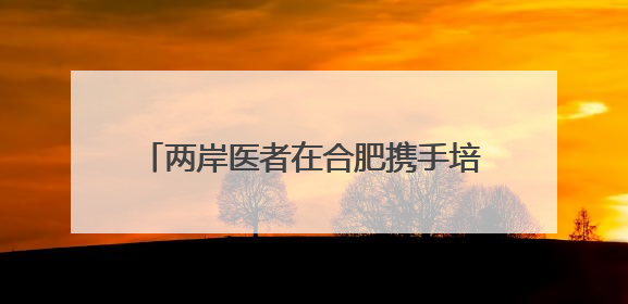 两岸医者在合肥携手培训贵州毕节基层医师
