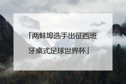 两蚌埠选手出征西班牙桌式足球世界杯