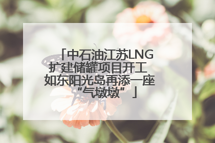 中石油江苏LNG扩建储罐项目开工 如东阳光岛再添一座“气墩墩”
