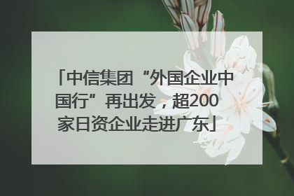 中信集团“外国企业中国行”再出发，超200家日资企业走进广东
