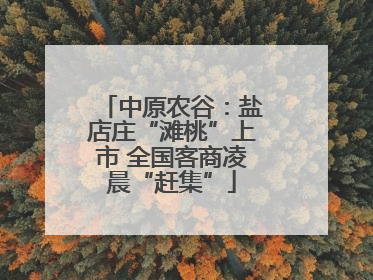 中原农谷：盐店庄“滩桃”上市 全国客商凌晨“赶集”