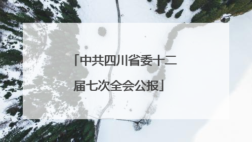 中共四川省委十二届七次全会公报
