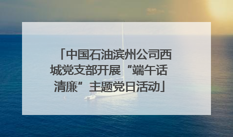 中国石油滨州公司西城党支部开展“端午话清廉”主题党日活动