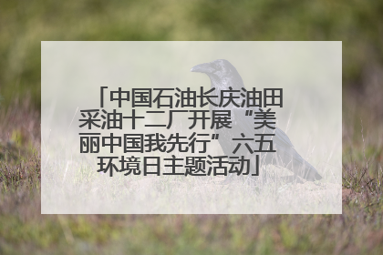 中国石油长庆油田采油十二厂开展“美丽中国我先行”六五环境日主题活动