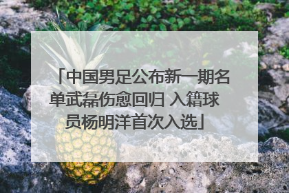 中国男足公布新一期名单武磊伤愈回归 入籍球员杨明洋首次入选