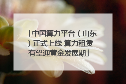 中国算力平台（山东）正式上线 算力租赁有望迎黄金发展期