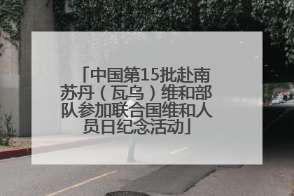 中国第15批赴南苏丹（瓦乌）维和部队参加联合国维和人员日纪念活动