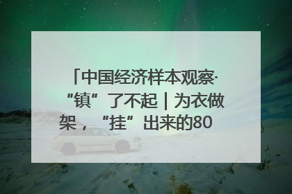 中国经济样本观察·“镇”了不起｜为衣做架，“挂”出来的80亿元“衣架产业”
