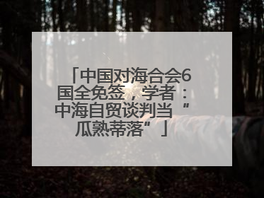 中国对海合会6国全免签，学者：中海自贸谈判当“瓜熟蒂落”