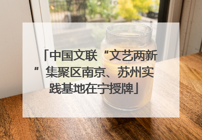 中国文联“文艺两新”集聚区南京、苏州实践基地在宁授牌