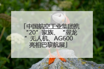 中国航空工业集团携“20”家族、“翼龙”无人机、AG600亮相巴黎航展