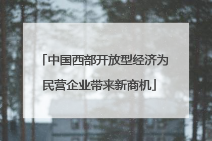 中国西部开放型经济为民营企业带来新商机