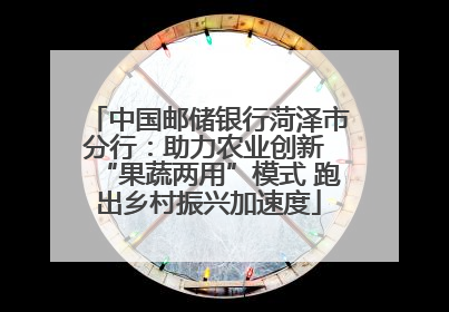 中国邮储银行菏泽市分行：助力农业创新 “果蔬两用”模式 跑出乡村振兴加速度