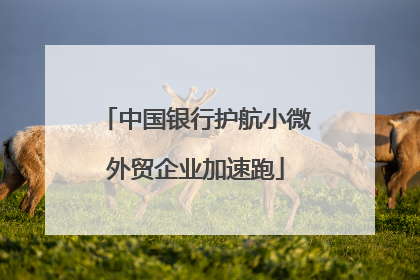 中国银行护航小微外贸企业加速跑