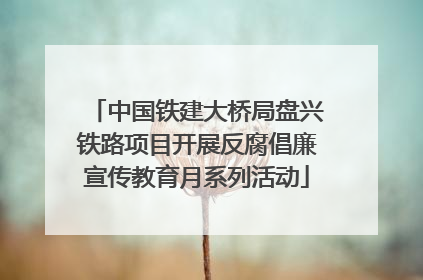 中国铁建大桥局盘兴铁路项目开展反腐倡廉宣传教育月系列活动