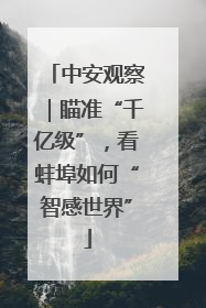 中安观察｜瞄准“千亿级”，看蚌埠如何“智感世界”