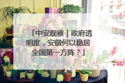 中安观察｜政府透明度，安徽何以稳居全国第一方阵？