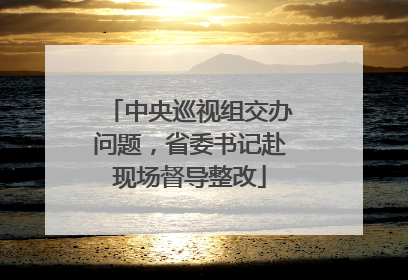 中央巡视组交办问题，省委书记赴现场督导整改