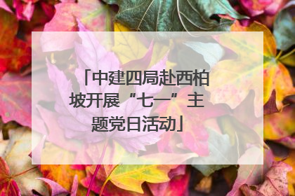 中建四局赴西柏坡开展“七一”主题党日活动