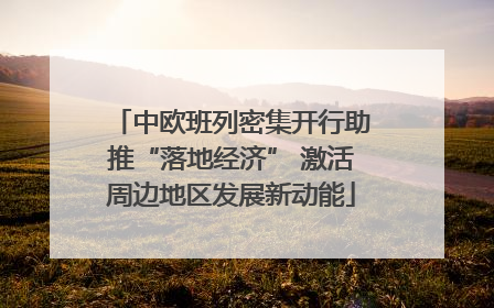 中欧班列密集开行助推“落地经济” 激活周边地区发展新动能
