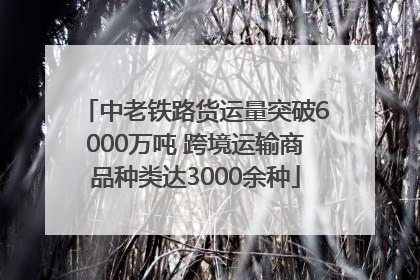 中老铁路货运量突破6000万吨 跨境运输商品种类达3000余种