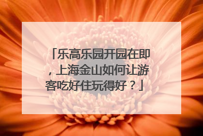 乐高乐园开园在即，上海金山如何让游客吃好住玩得好？