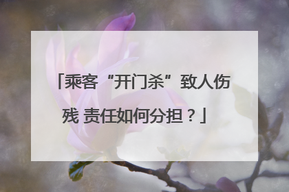 乘客“开门杀”致人伤残 责任如何分担？