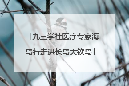 九三学社医疗专家海岛行走进长岛大钦岛