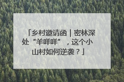 乡村邀请函｜密林深处“羊咩咩”，这个小山村如何逆袭？