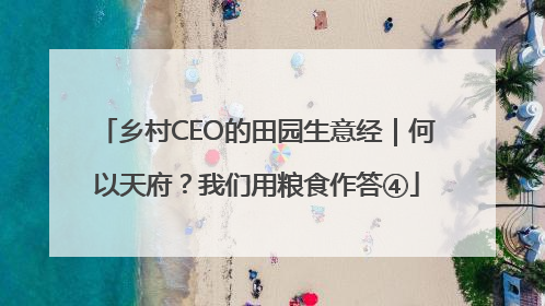 乡村CEO的田园生意经｜何以天府？我们用粮食作答④