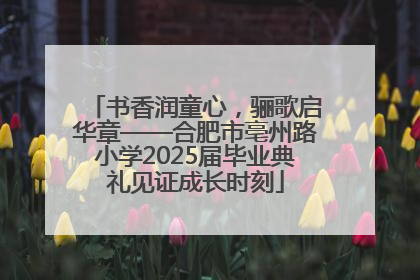 书香润童心，骊歌启华章——合肥市亳州路小学2025届毕业典礼见证成长时刻
