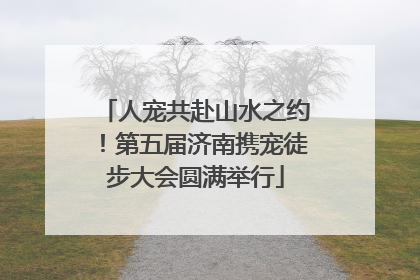 人宠共赴山水之约！第五届济南携宠徒步大会圆满举行