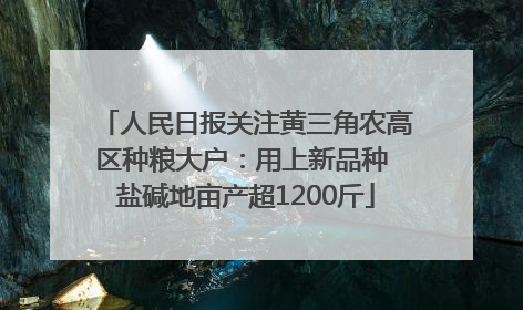人民日报关注黄三角农高区种粮大户：用上新品种 盐碱地亩产超1200斤