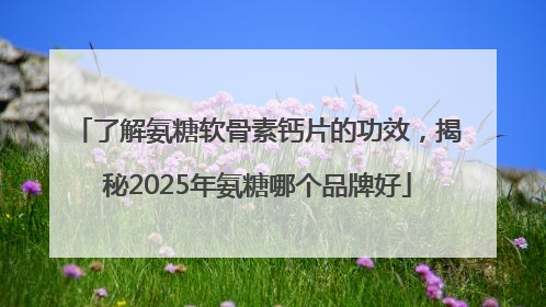 了解氨糖软骨素钙片的功效，揭秘2025年氨糖哪个品牌好