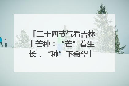 二十四节气看吉林丨芒种：“芒”着生长，“种”下希望