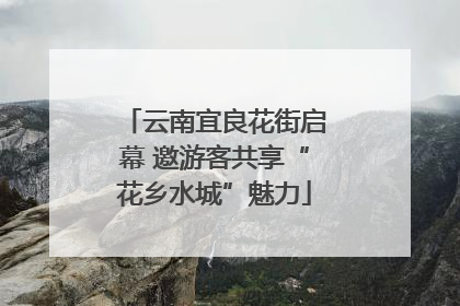 云南宜良花街启幕 邀游客共享“花乡水城”魅力